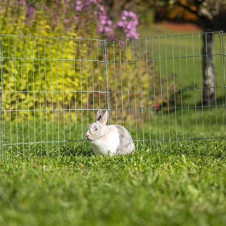 Ferienwohnungen Freidinglehen Marktschellenberg Bagian luar foto