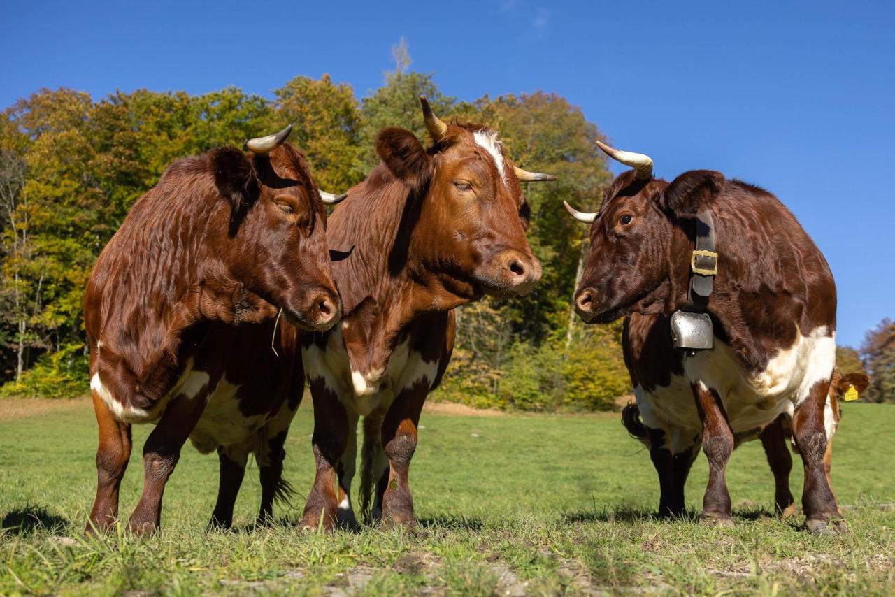 Ferienwohnungen Freidinglehen Marktschellenberg Bagian luar foto