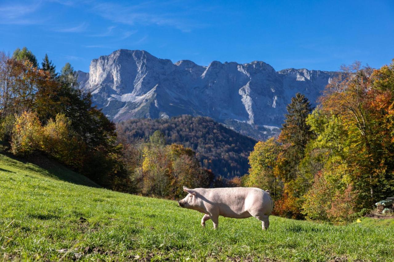 Ferienwohnungen Freidinglehen Marktschellenberg Bagian luar foto